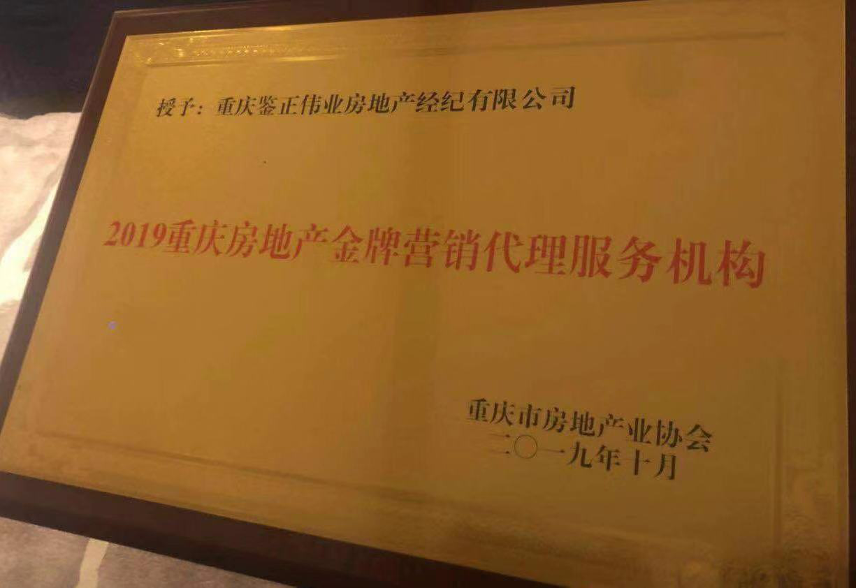 以“专业+服务”再谱新篇章