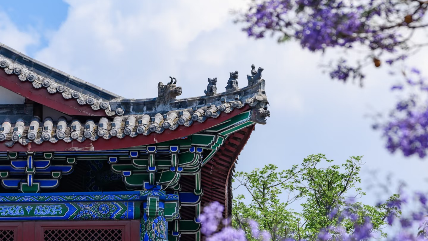 春染建昌・花满古城｜五一赴古城，解锁沉浸式国风盛宴