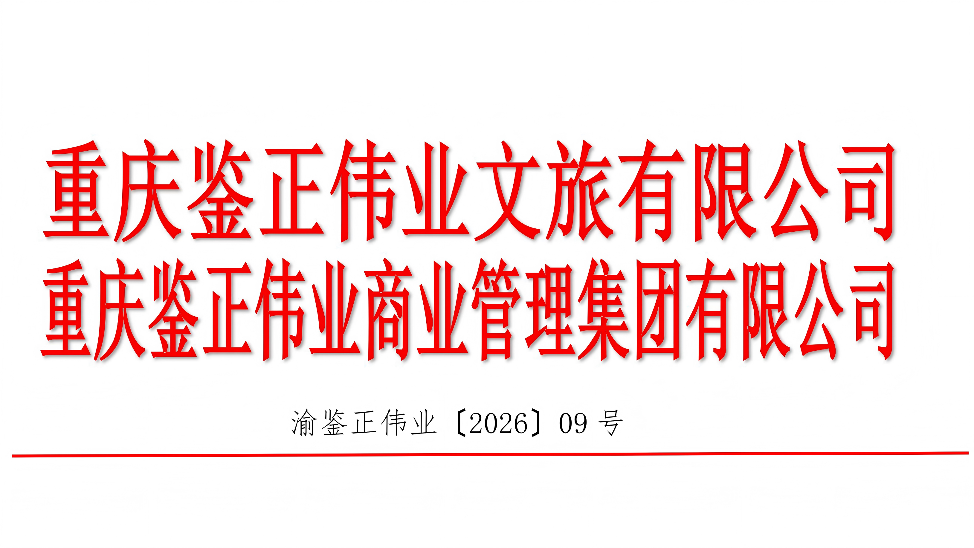 关于集团高层管理人员职务任命的通知